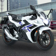 Diecast Model Suzuki GSX 250R Official Licensed 1/12